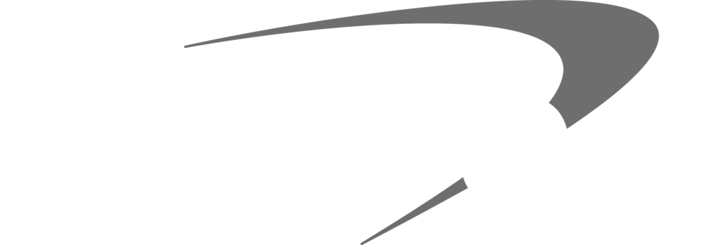 CapitalOne white logo